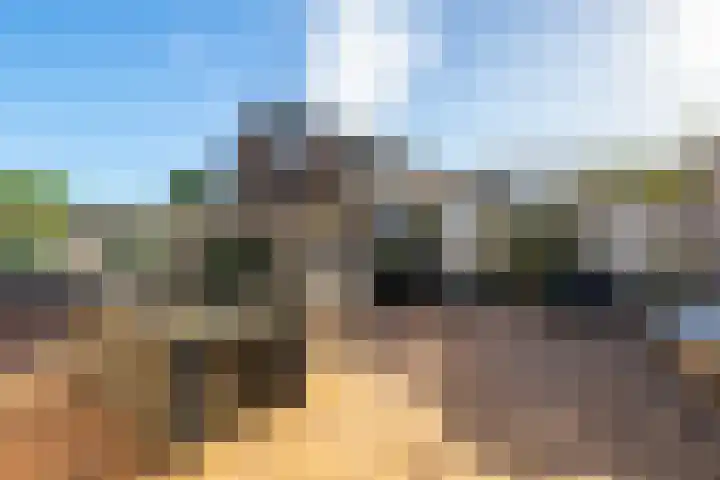 Vijverstraat 12 Nieuwendijk thumbnail 54