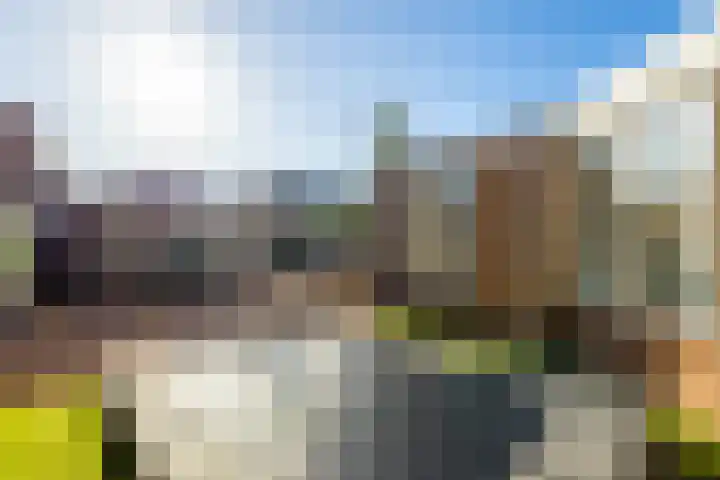 Vijverstraat 12 Nieuwendijk thumbnail 55