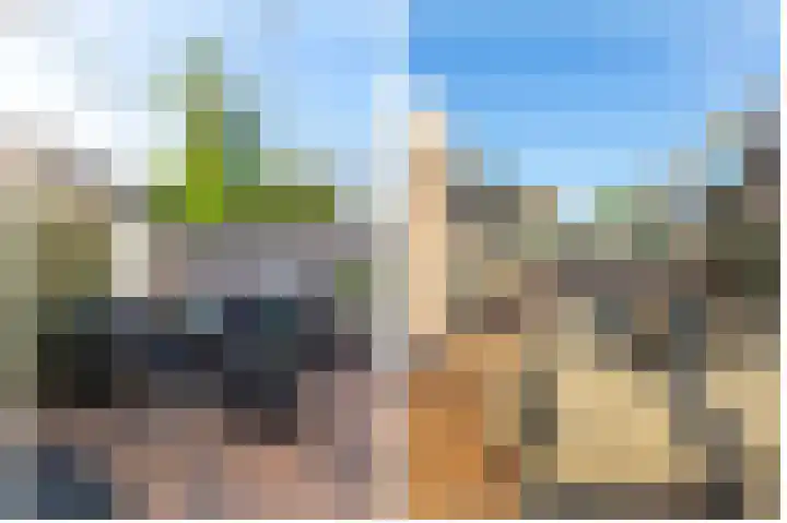Vijverstraat 12 Nieuwendijk thumbnail 61