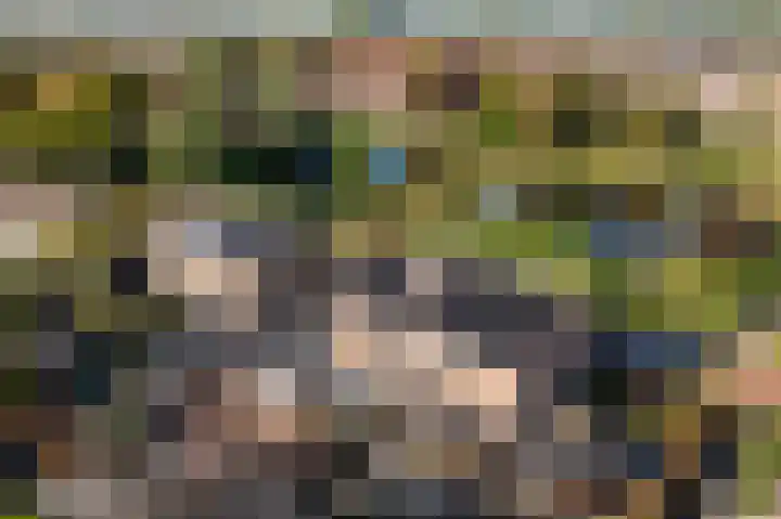 Vijverstraat 12 Nieuwendijk thumbnail 64