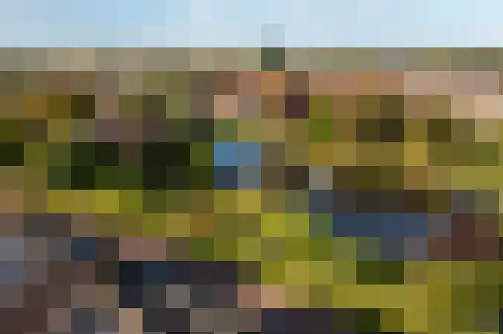 Vijverstraat 12 Nieuwendijk thumbnail 65