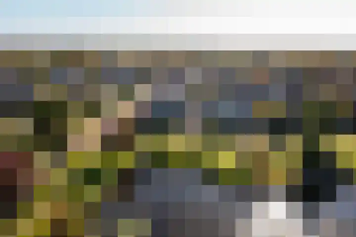 Vijverstraat 12 Nieuwendijk thumbnail 66