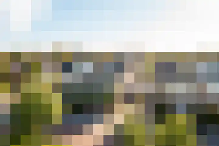 Vijverstraat 12 Nieuwendijk thumbnail 68