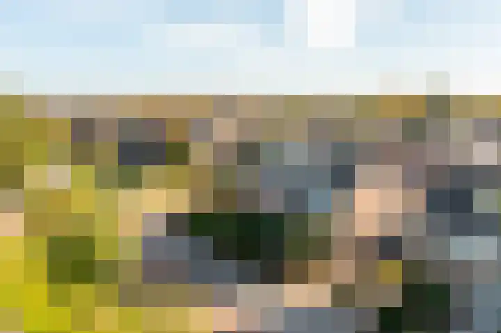 Vijverstraat 12 Nieuwendijk thumbnail 69
