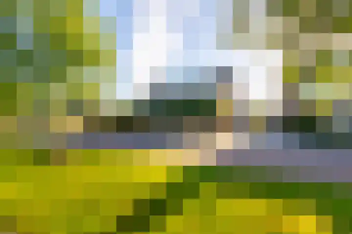 Vijverstraat 12 Nieuwendijk thumbnail 8