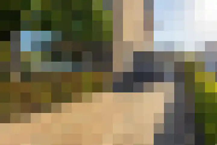 Vijverstraat 12 Nieuwendijk thumbnail 9