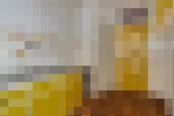 Vijverstraat 15 Kapelle thumbnail 15