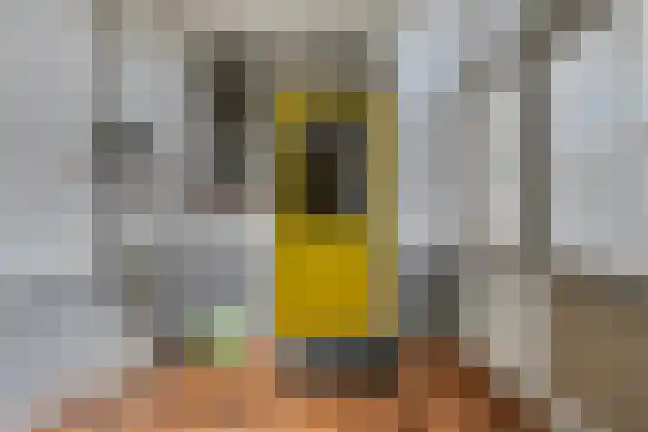 Vijverstraat 15 Kapelle thumbnail 17