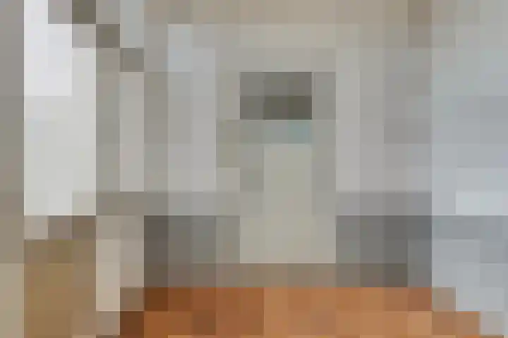 Vijverstraat 15 Kapelle thumbnail 18