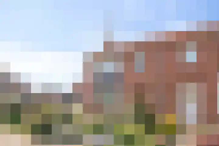 Vijverstraat 15 Kapelle thumbnail 30