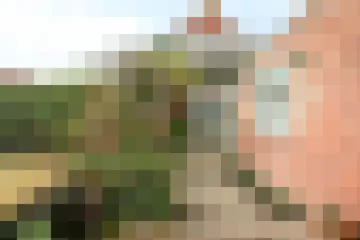 Vijverstraat 15 Kapelle thumbnail 4