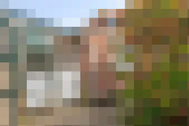 Vijverstraat 15 Kapelle thumbnail 5