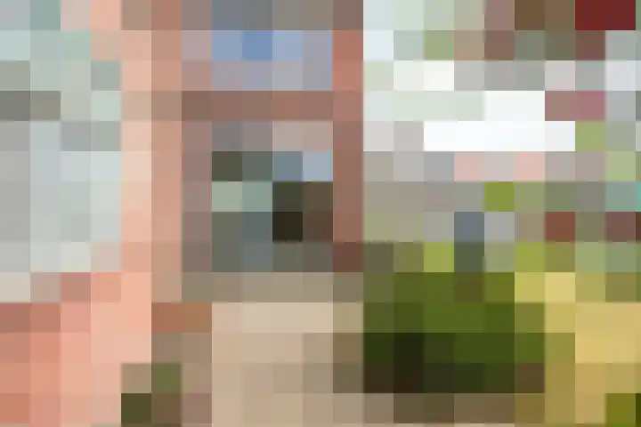 Vijverstraat 15 Kapelle thumbnail 7