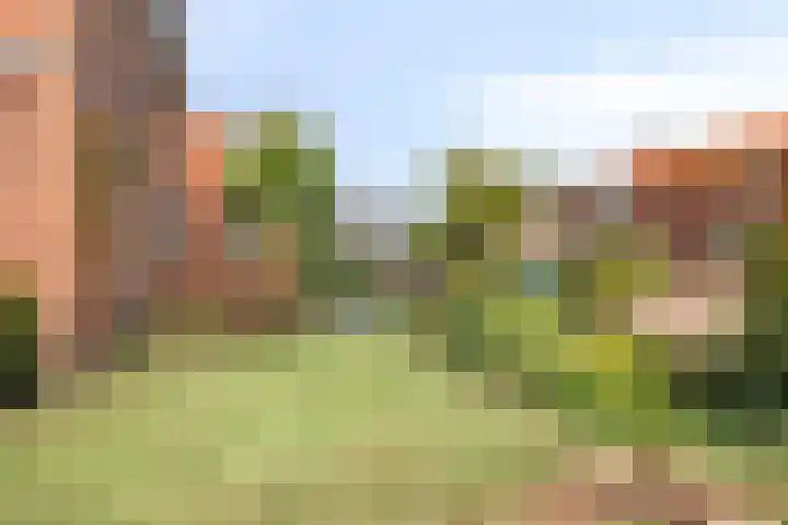 Vijverstraat 15 Kapelle thumbnail 8