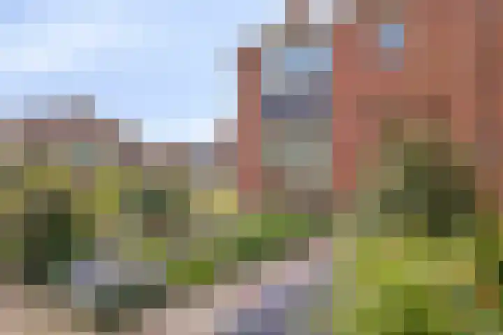 Vijverstraat 15 Kapelle thumbnail 9