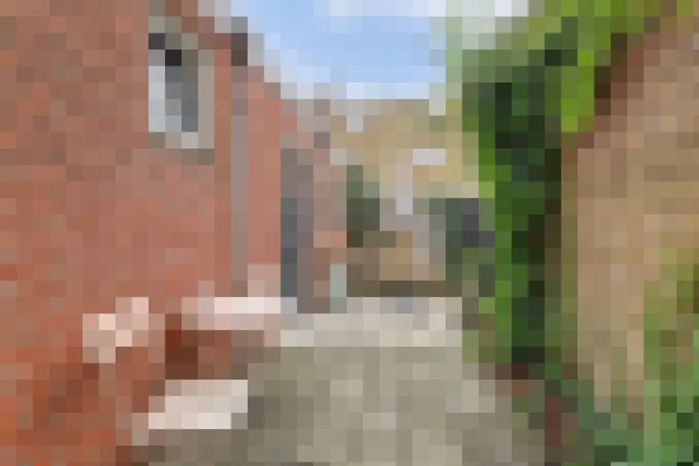 Vijverstraat 16 Harlingen thumbnail 21