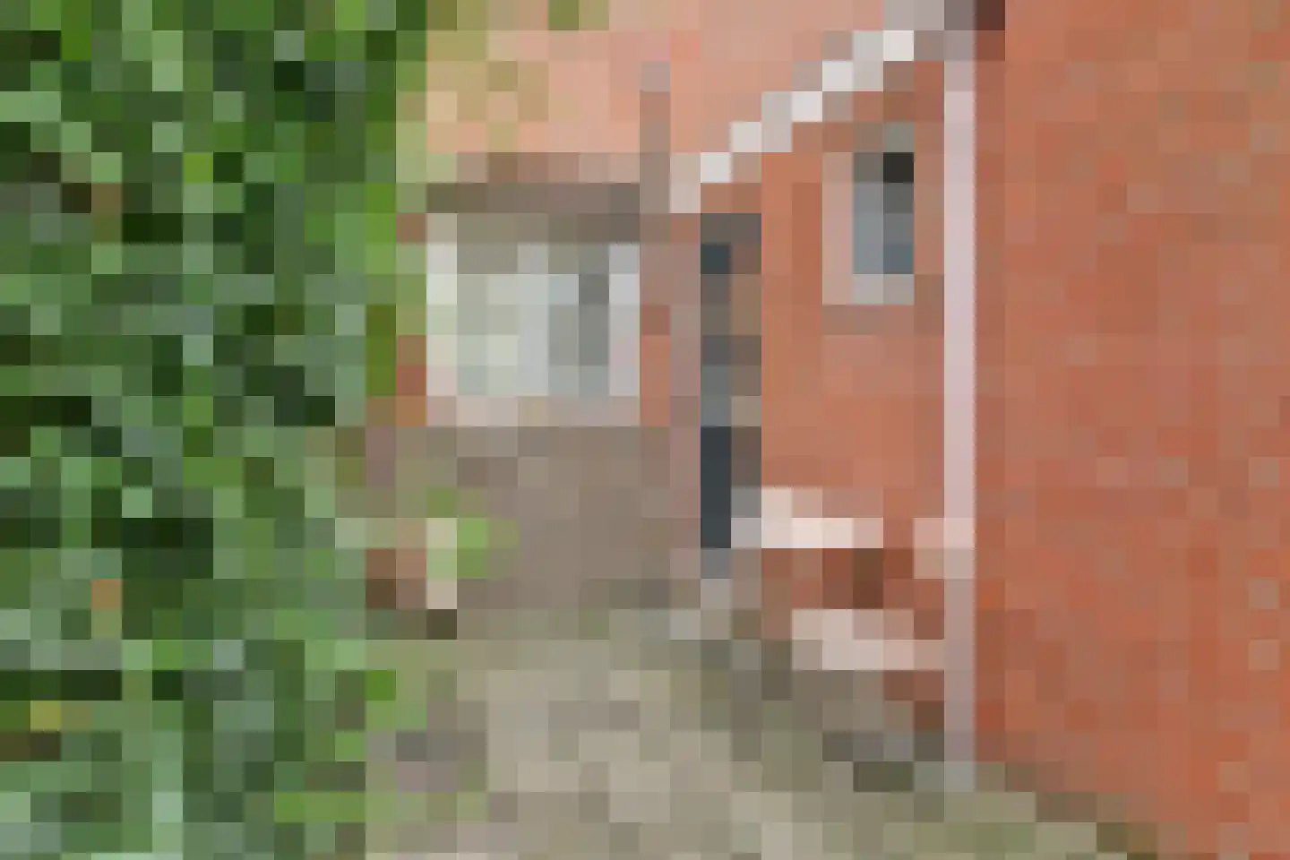 Vijverstraat 16 Harlingen thumbnail 23