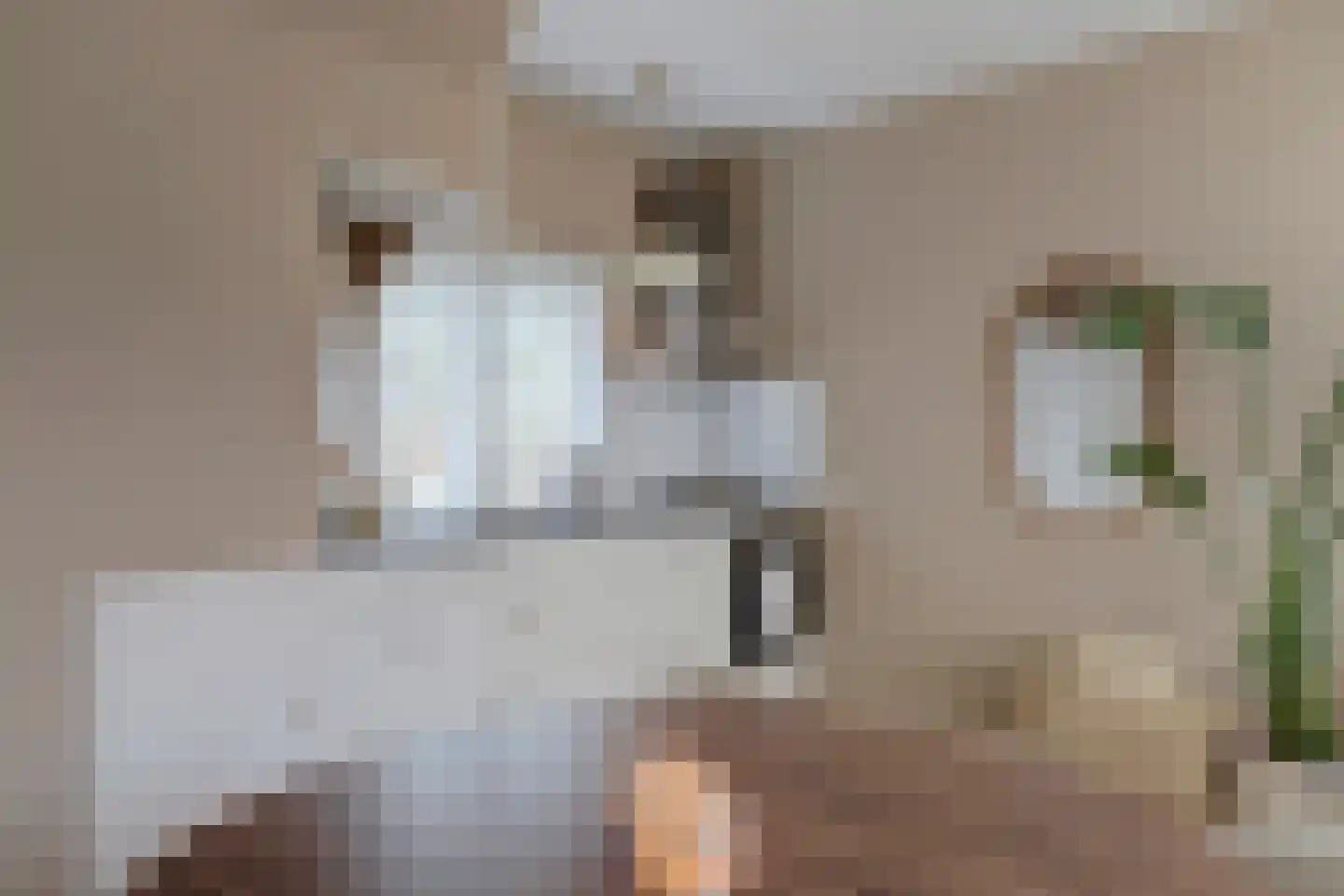 Vijverstraat 16 Harlingen thumbnail 9