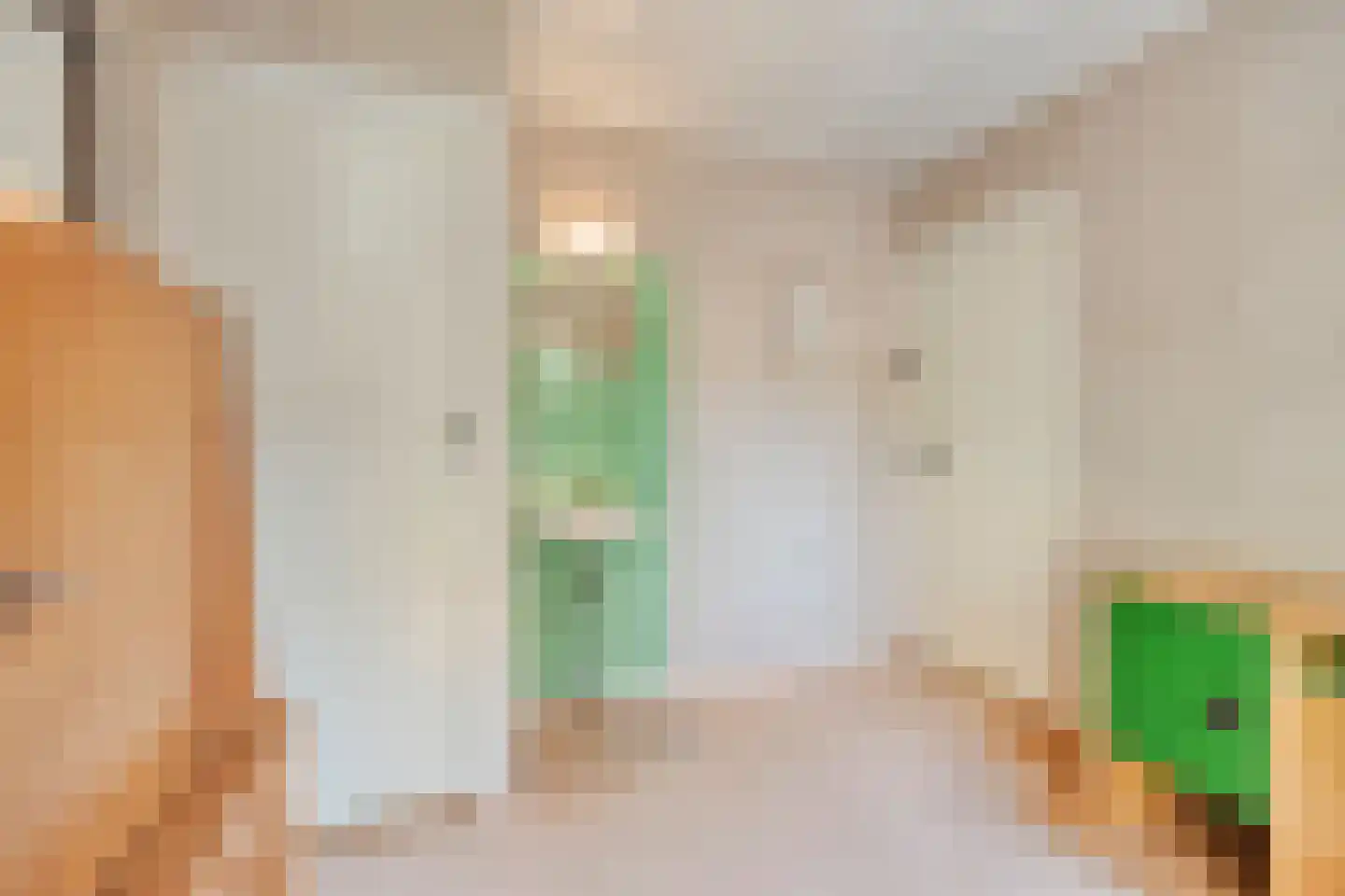 Vijverstraat 18 Veldhoven thumbnail 24