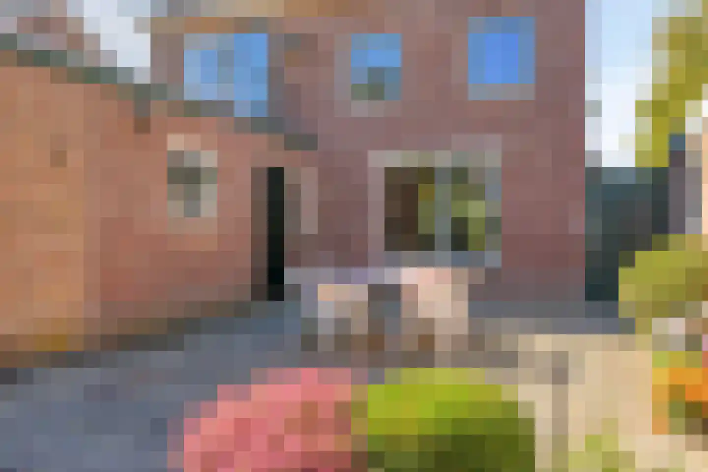 Vijverstraat 18 Veldhoven thumbnail 31