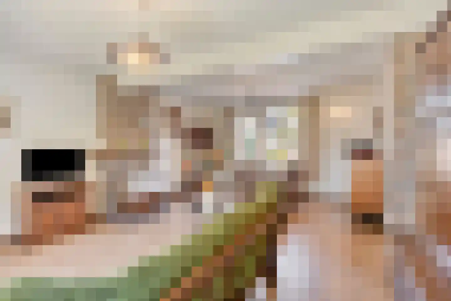 Vijverstraat 18 Veldhoven thumbnail 7