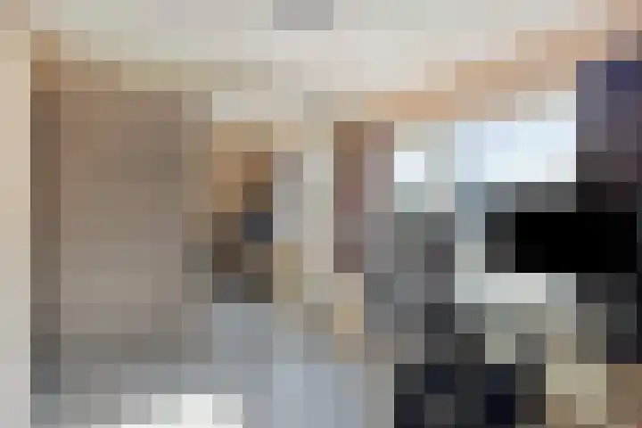 Vijverstraat 2 Heinkenszand thumbnail 10