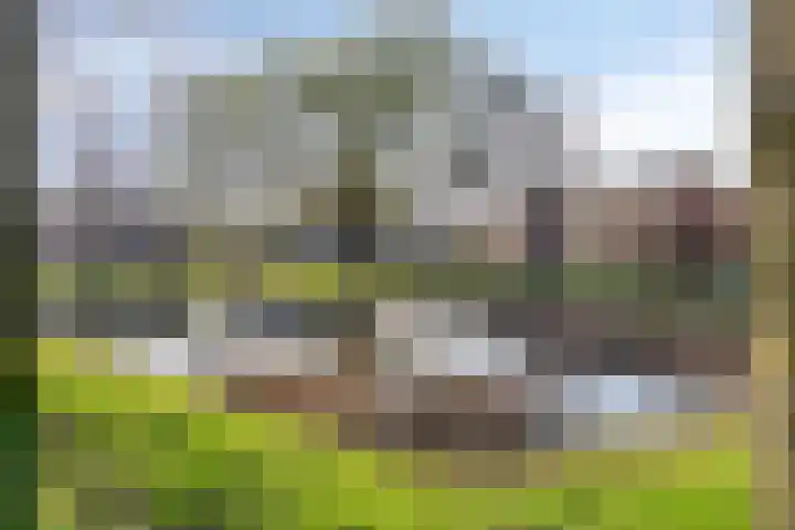 Vijverstraat 2 Heinkenszand thumbnail 18