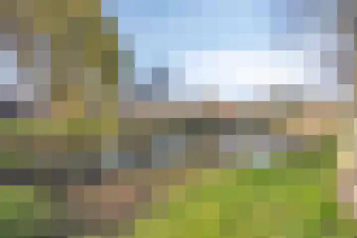 Vijverstraat 2 Heinkenszand thumbnail 19