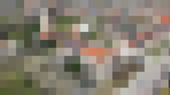 Vijverstraat 2 Heinkenszand thumbnail 20