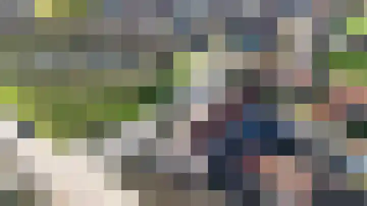 Vijverstraat 2 Heinkenszand thumbnail 22