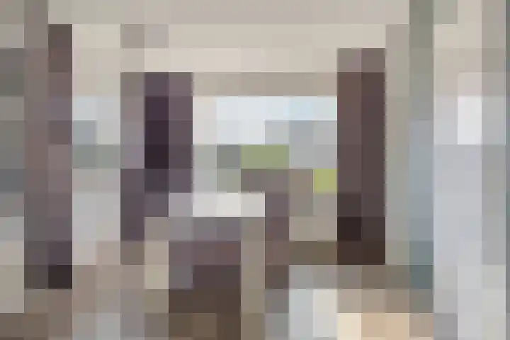 Vijverstraat 2 Heinkenszand thumbnail 4