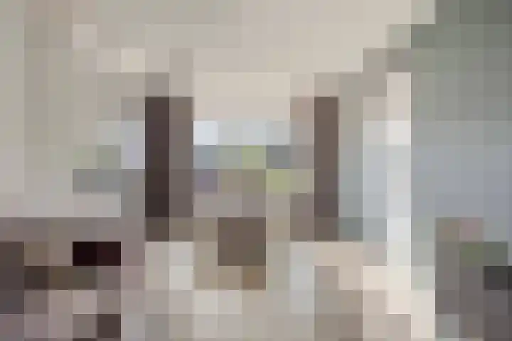 Vijverstraat 2 Heinkenszand thumbnail 5