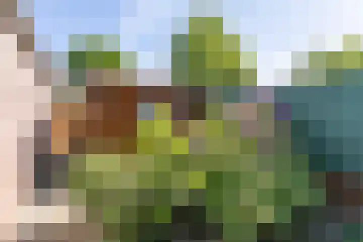 Vijverstraat 20 Brunssum thumbnail 32