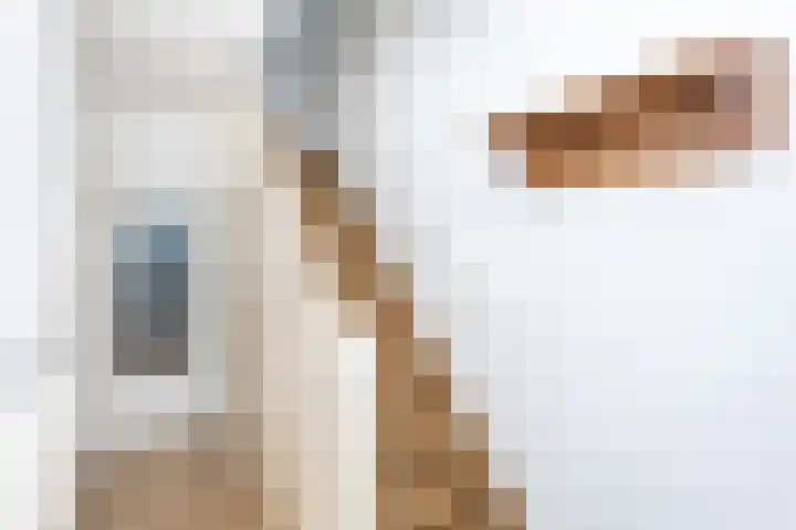 Vijverstraat 20 Brunssum thumbnail 5