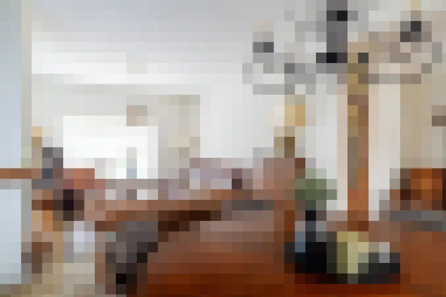 Vijverstraat 21 Nieuwendijk thumbnail 11
