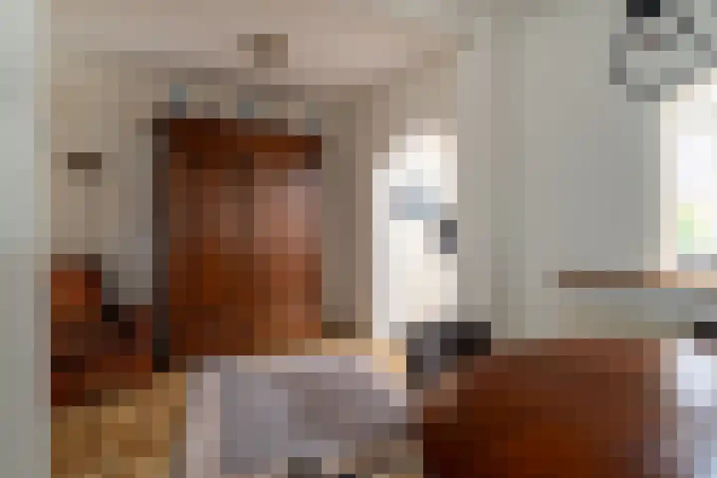 Vijverstraat 21 Nieuwendijk thumbnail 12