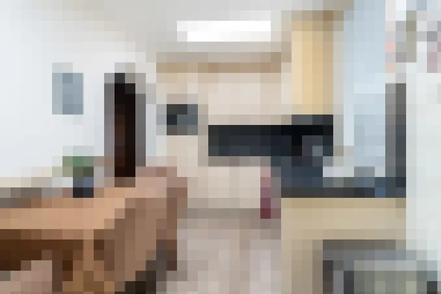 Vijverstraat 21 Nieuwendijk thumbnail 13