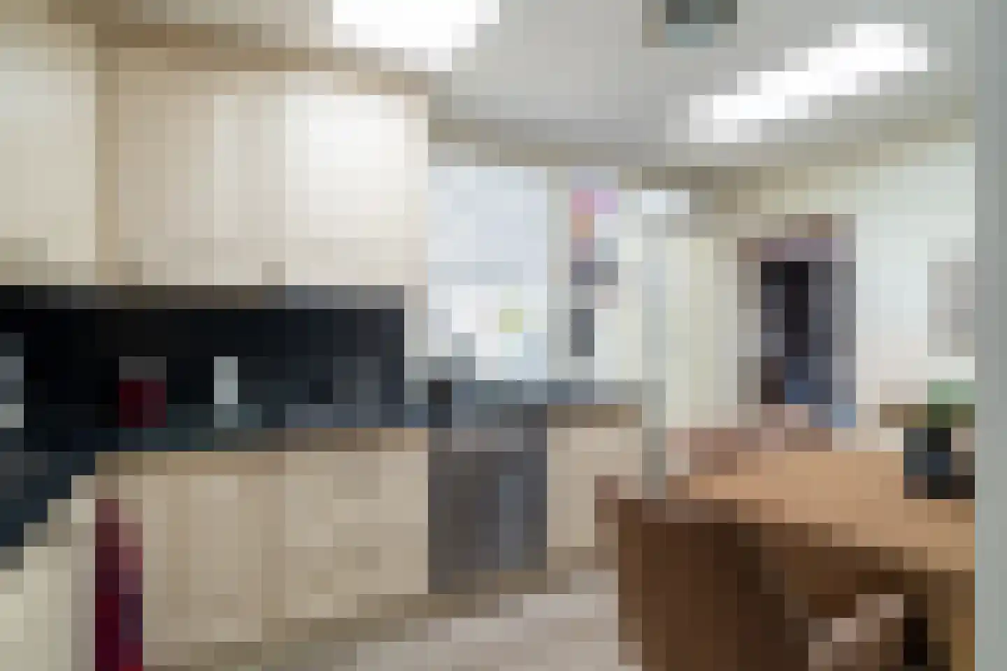 Vijverstraat 21 Nieuwendijk thumbnail 14