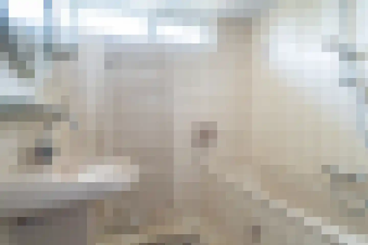 Vijverstraat 21 Nieuwendijk thumbnail 19