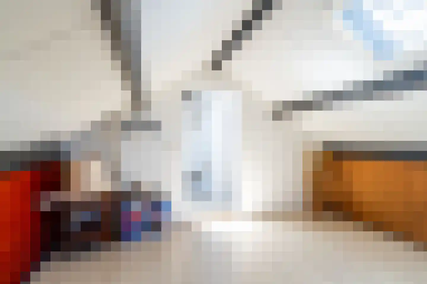 Vijverstraat 21 Nieuwendijk thumbnail 28