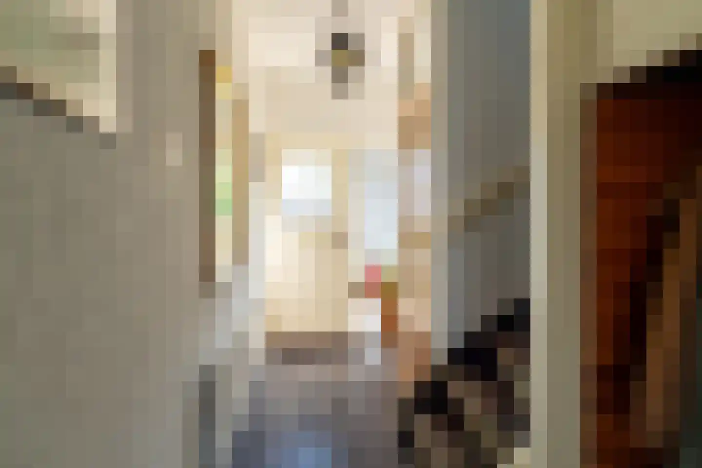 Vijverstraat 21 Nieuwendijk thumbnail 6