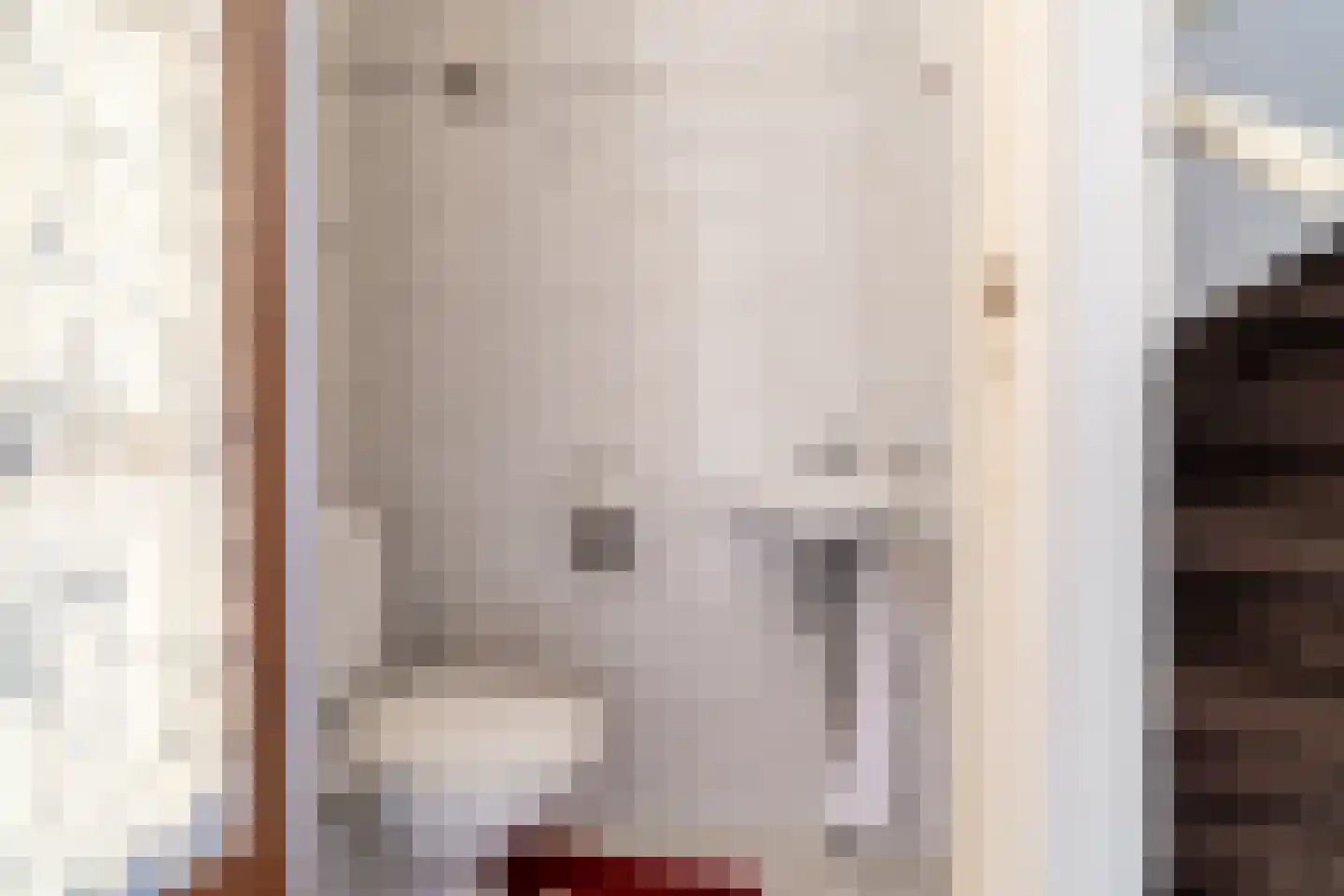 Vijverstraat 21 Nieuwendijk thumbnail 7