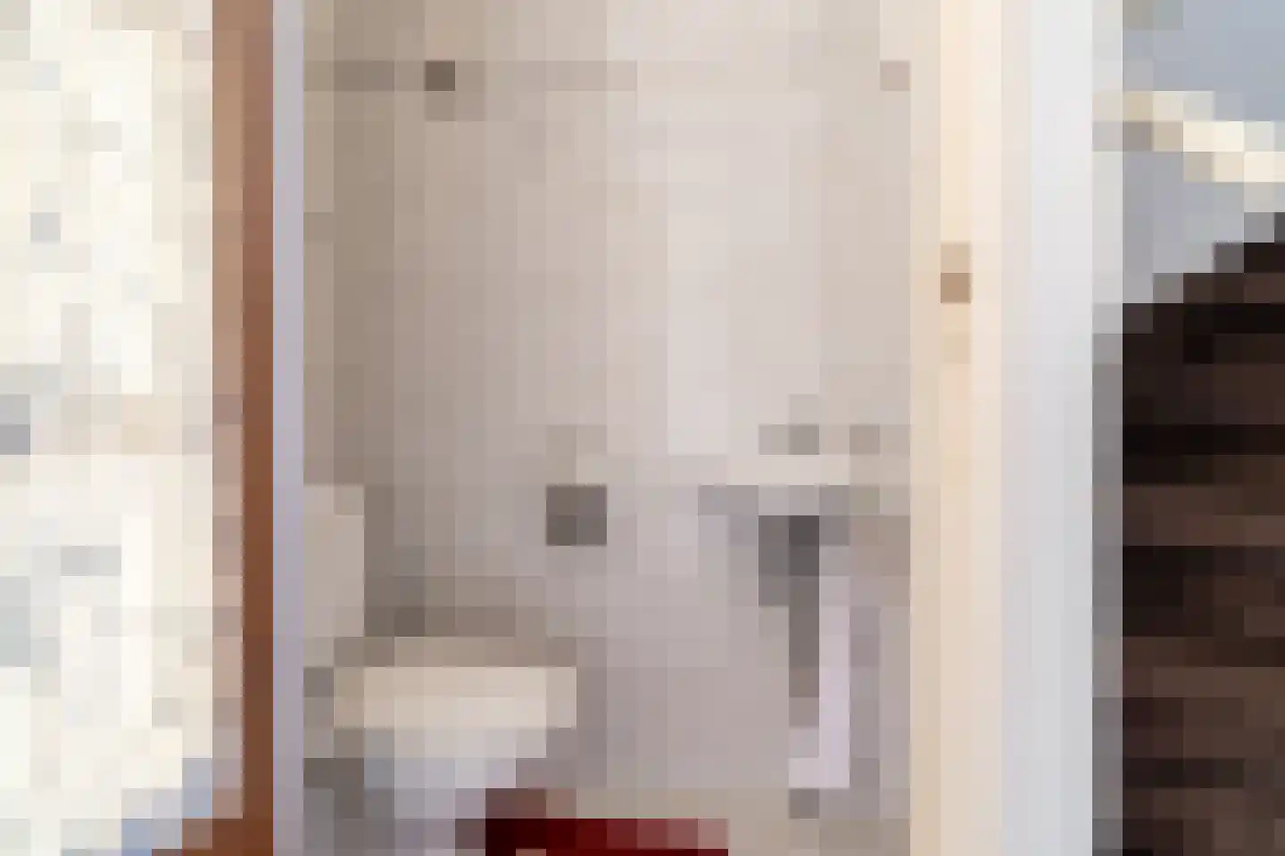 Vijverstraat 21 Nieuwendijk thumbnail 7