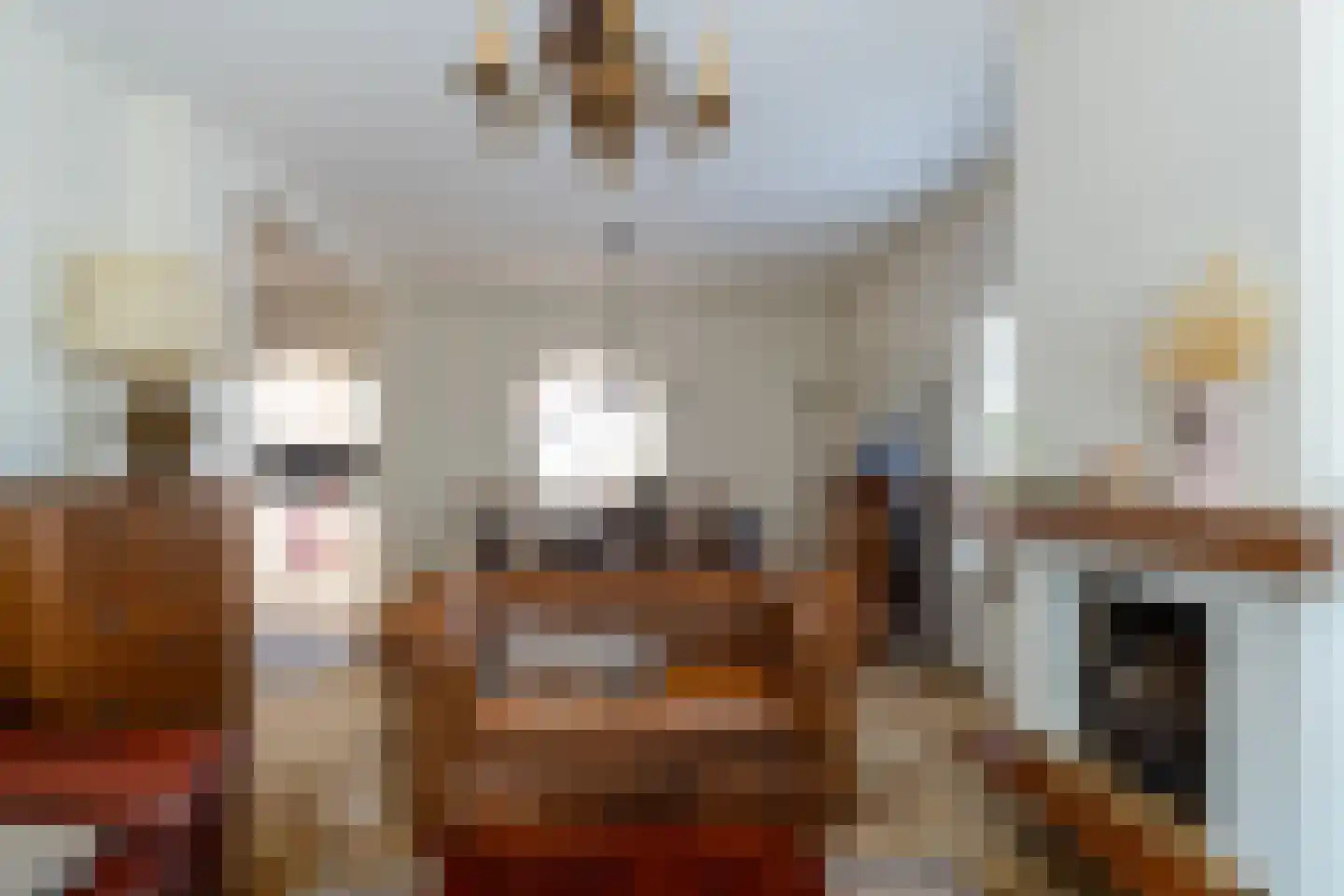 Vijverstraat 21 Nieuwendijk thumbnail 9
