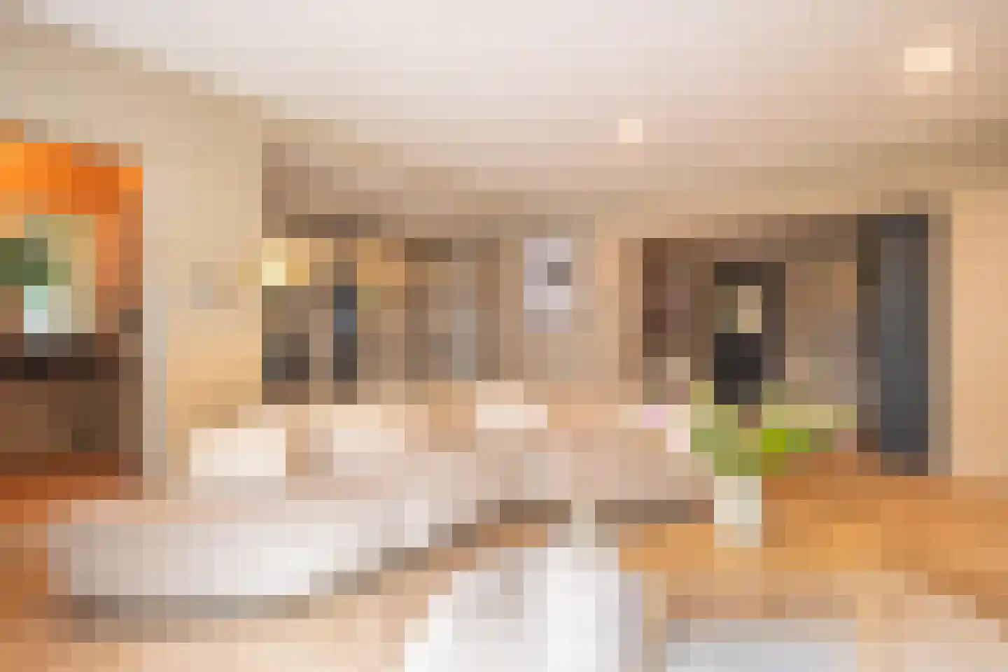 Vijverstraat 22 De Wilp thumbnail 22