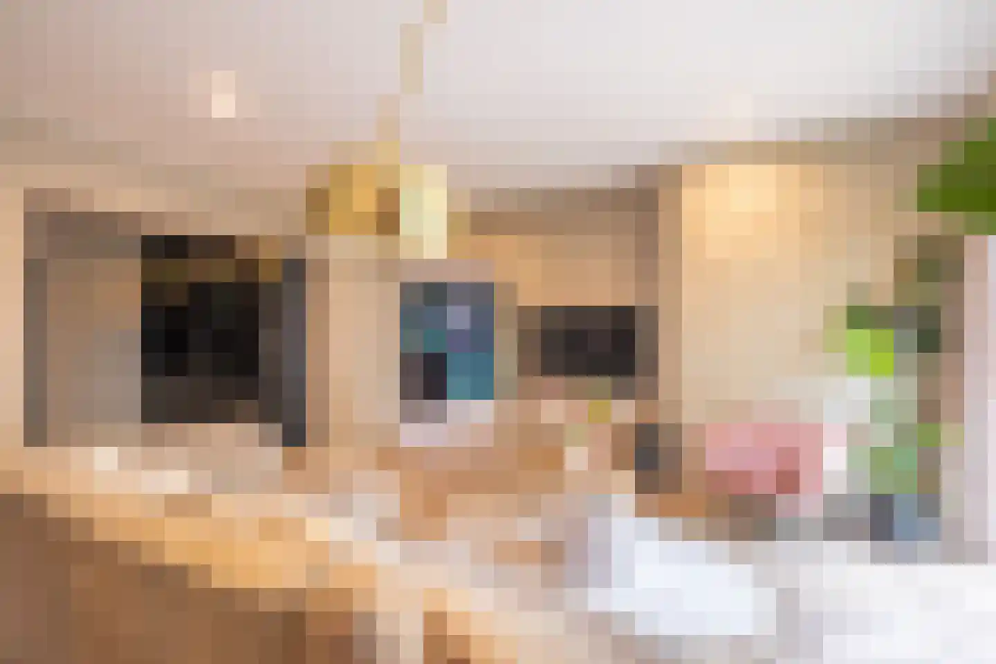 Vijverstraat 22 De Wilp thumbnail 24