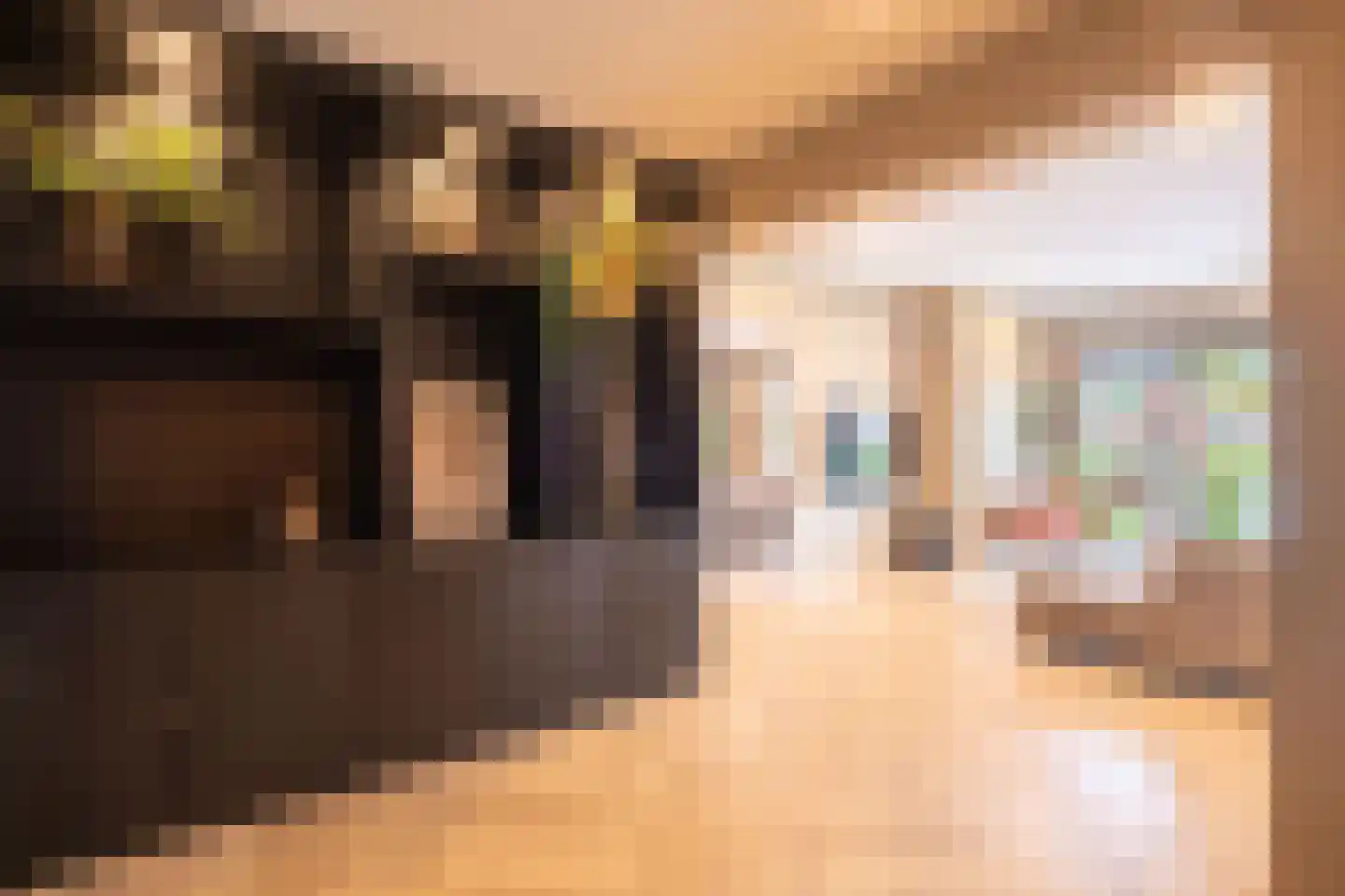 Vijverstraat 22 De Wilp thumbnail 26