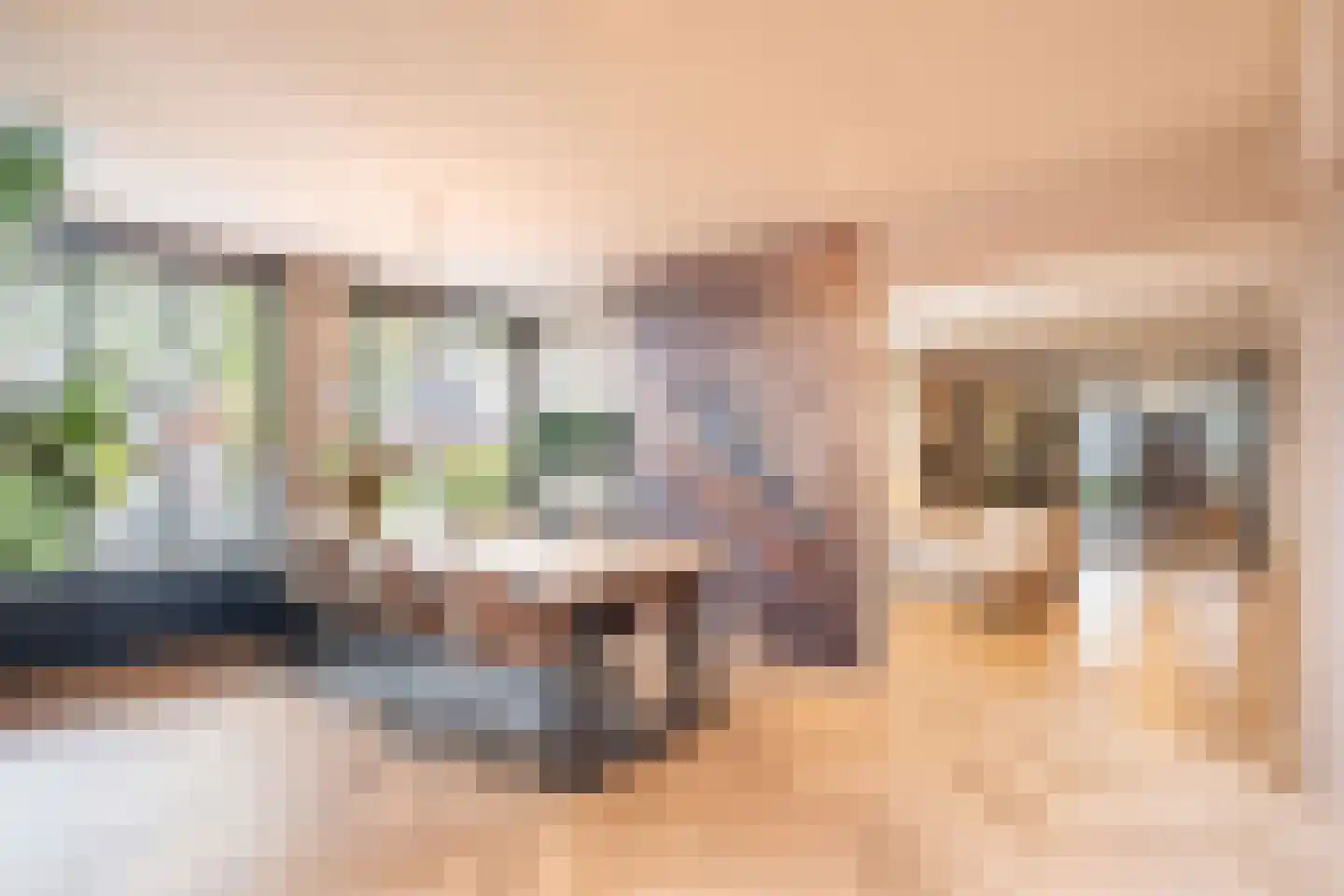 Vijverstraat 22 De Wilp thumbnail 29