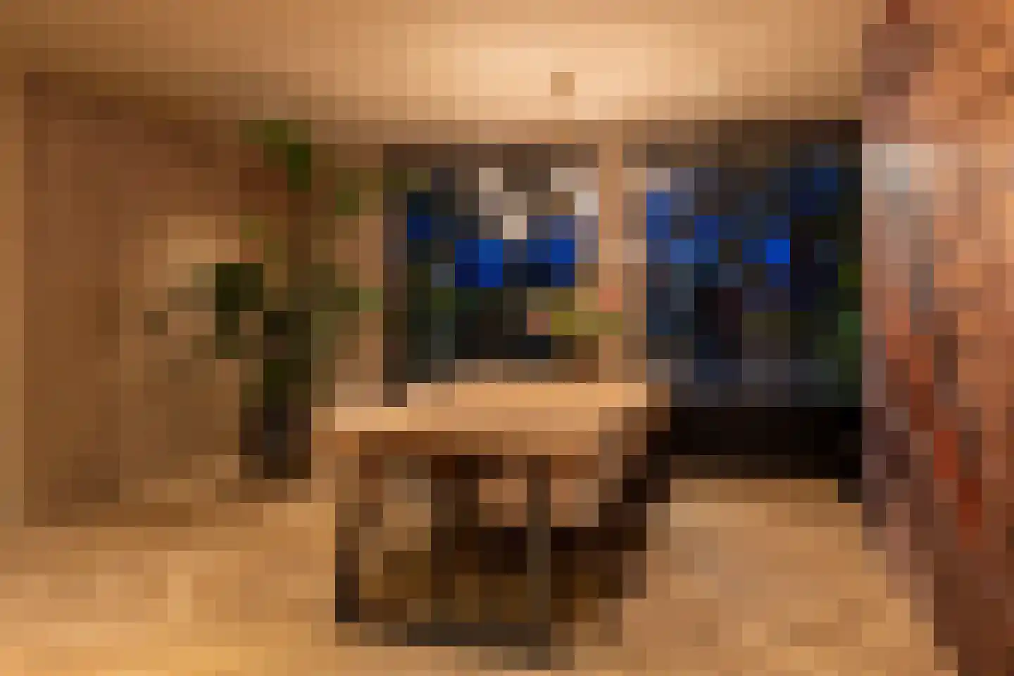Vijverstraat 22 De Wilp thumbnail 30