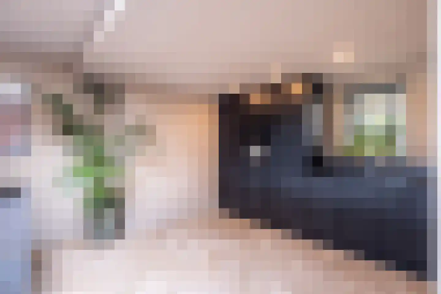 Vijverstraat 22 De Wilp thumbnail 35